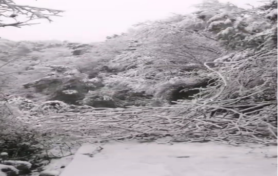 战暴雪、保供电！华体会官方版网站登录入口-华体会（中国）鸟儿巢公司应对极端天气紧急抢修失电故障